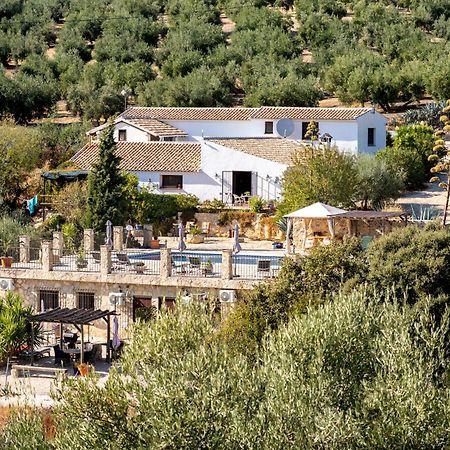 Hacienda La Buena Vida B&B En Appartementen Casita La Bruja Algarinejo 객실 사진