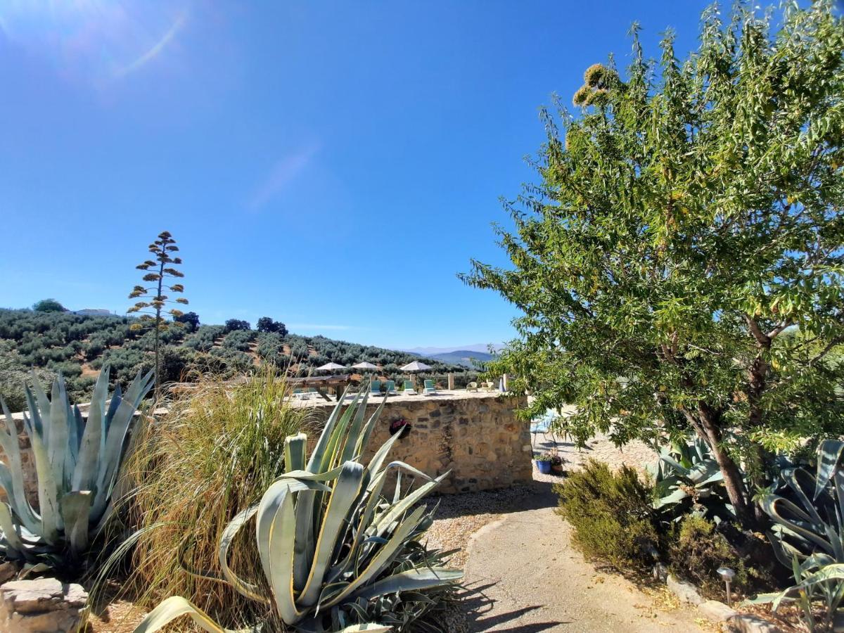 Hacienda La Buena Vida B&B En Appartementen Casita La Bruja Algarinejo 외부 사진