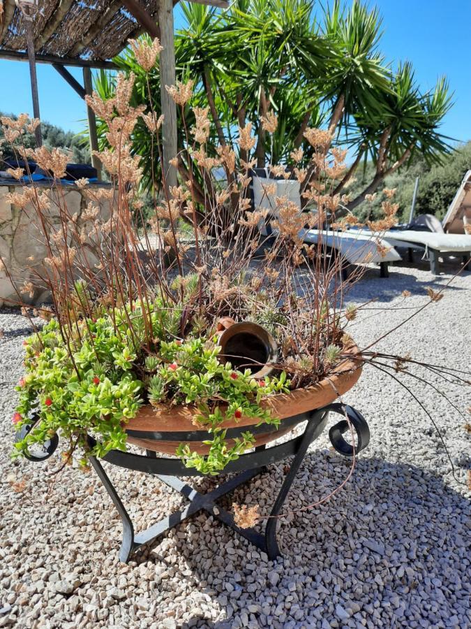Hacienda La Buena Vida B&B En Appartementen Casita La Bruja Algarinejo 외부 사진