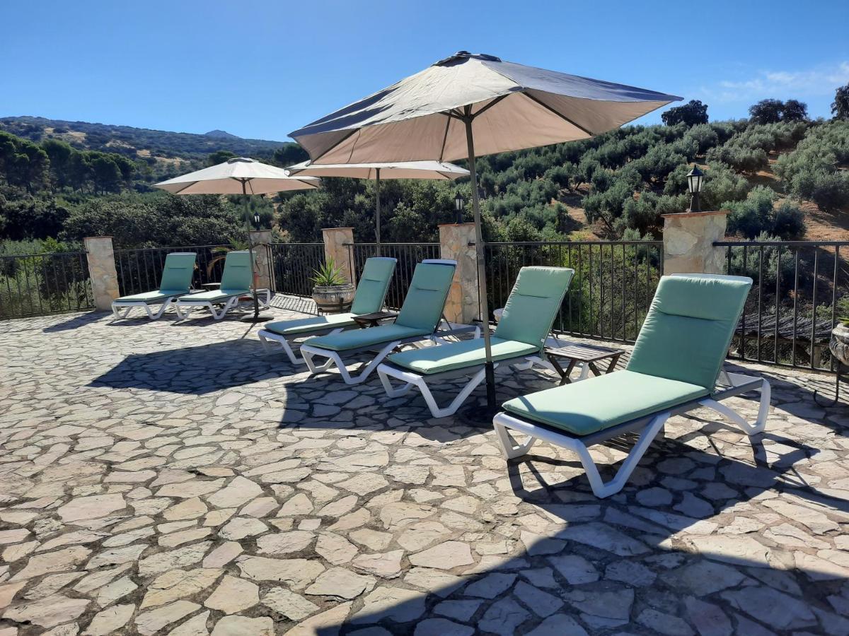 Hacienda La Buena Vida B&B En Appartementen Casita La Bruja Algarinejo 외부 사진