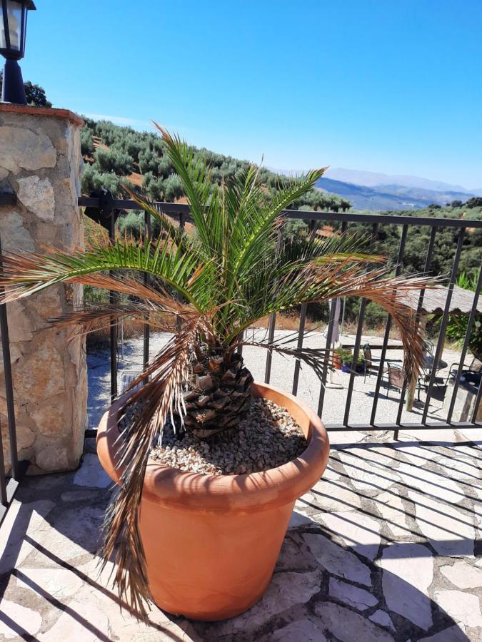 Hacienda La Buena Vida B&B En Appartementen Casita La Bruja Algarinejo 외부 사진