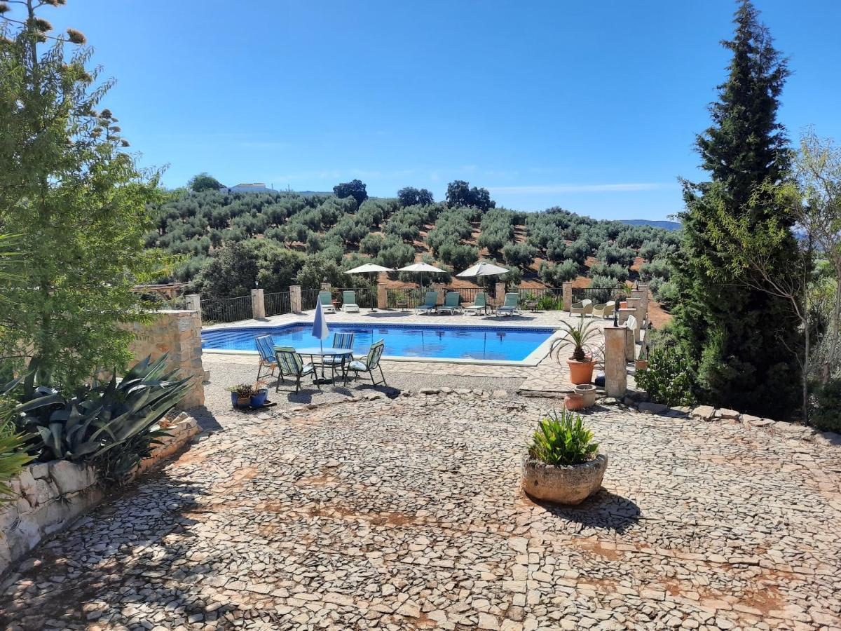 Hacienda La Buena Vida B&B En Appartementen Casita La Bruja Algarinejo 외부 사진