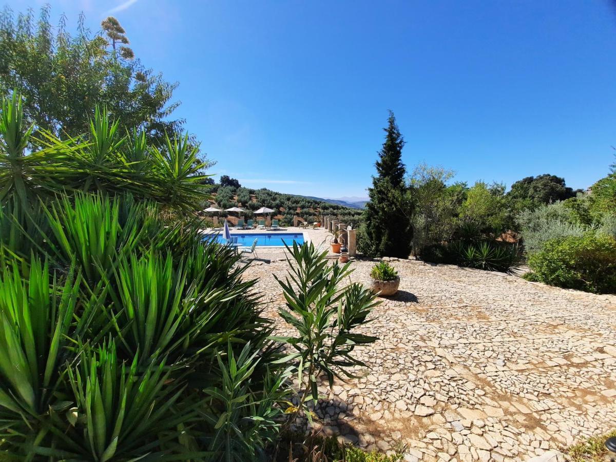 Hacienda La Buena Vida B&B En Appartementen Casita La Bruja Algarinejo 외부 사진