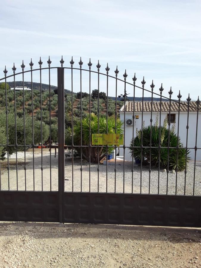 Hacienda La Buena Vida B&B En Appartementen Casita La Bruja Algarinejo 외부 사진