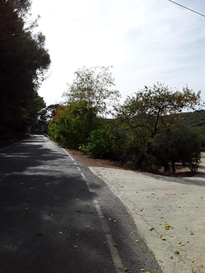 Hacienda La Buena Vida B&B En Appartementen Casita La Bruja Algarinejo 외부 사진