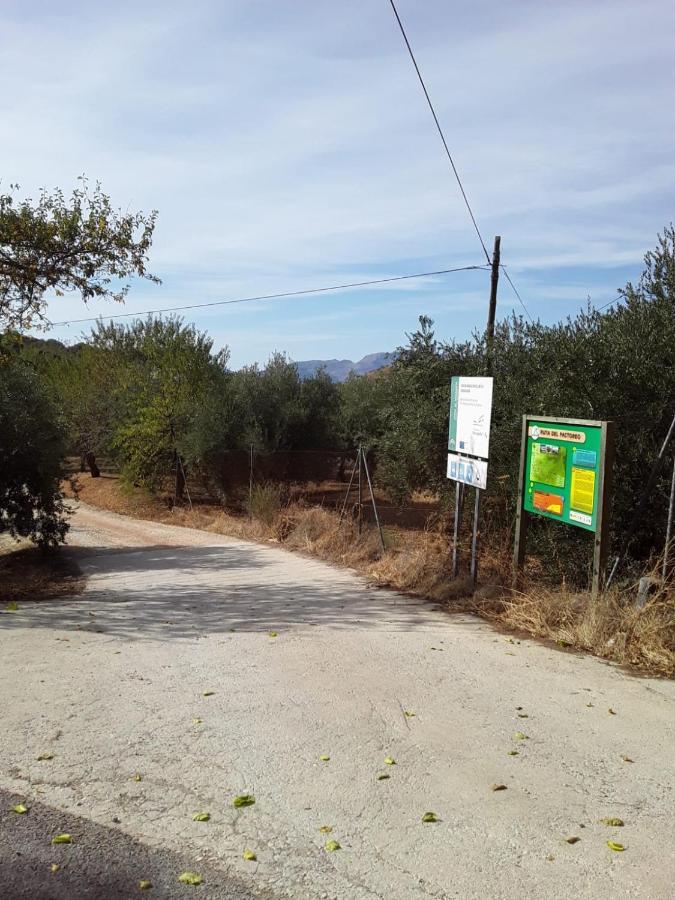 Hacienda La Buena Vida B&B En Appartementen Casita La Bruja Algarinejo 외부 사진